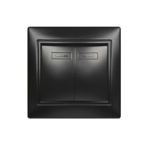 Выключатель 2-клавишный с индикатором 10А черный, «Венера»