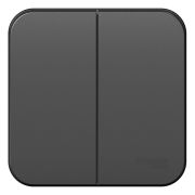 Выключатель 2-клавишный 10А, антрацит Blanca Schneider