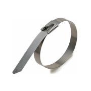 Стяжки стальные СКС (304) 4,6*250 (Fortisflex)